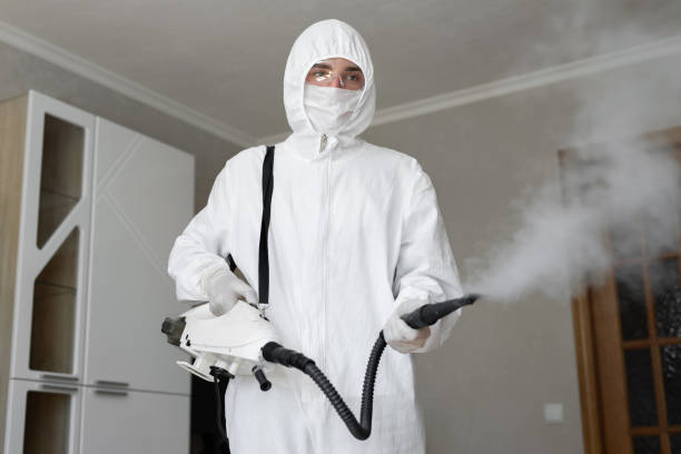 Why You Should Choose Our Mold Remediation Services in Queen Anne, MD